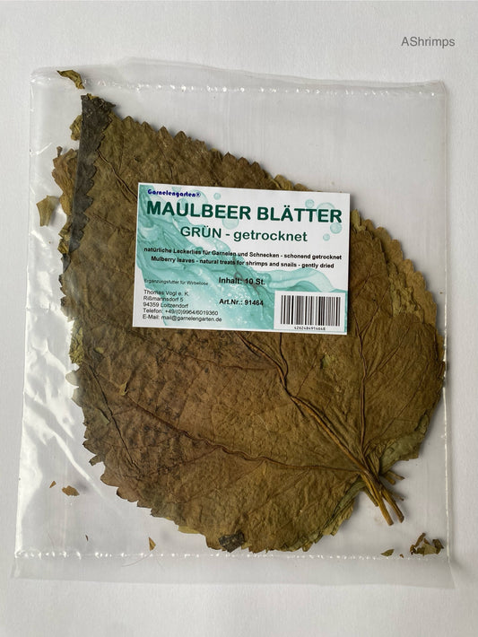 Moerbei bladeren